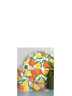 Fruits Oranges and Lemons
